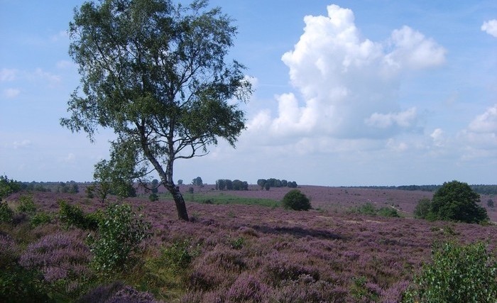 Christelijk vakantiepark Salland 08