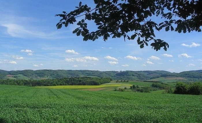 Christelijk vakantiepark Odenwald - Heidelberg 06